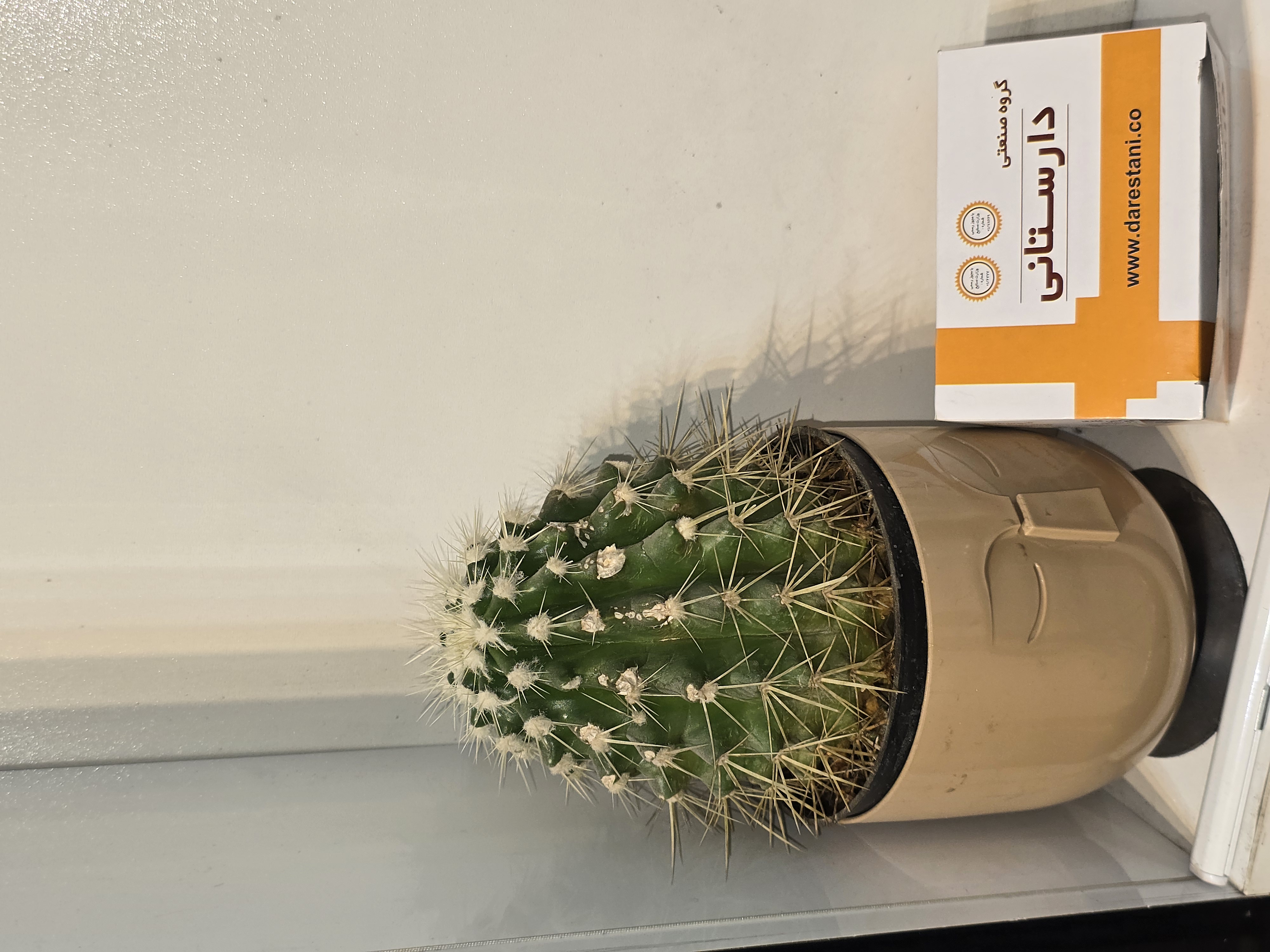 گیره پرده سوراخ دار دارستانی عمده و تک