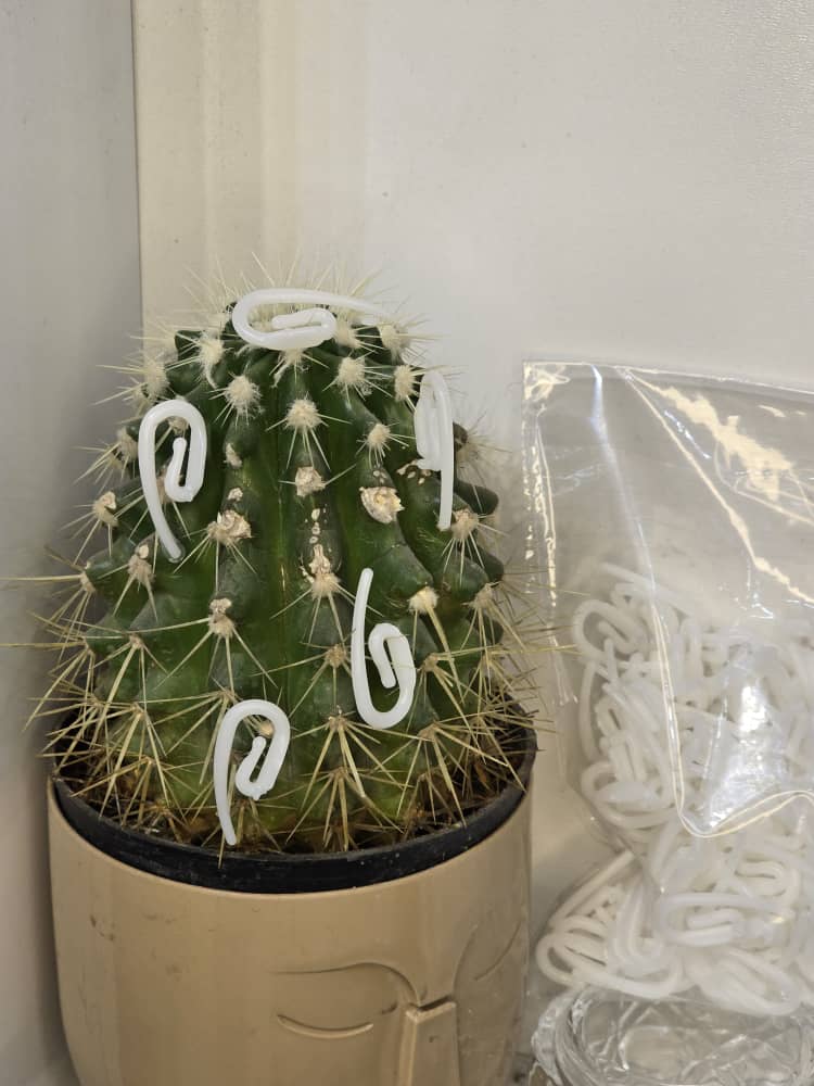 قلاب پرده اطلس جنس پلاستیک فشرده