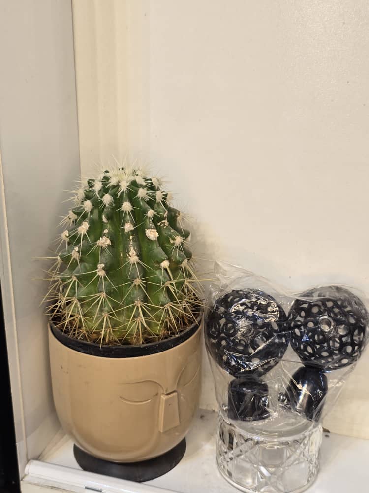 سربند ریل پانچ مدل المپیک