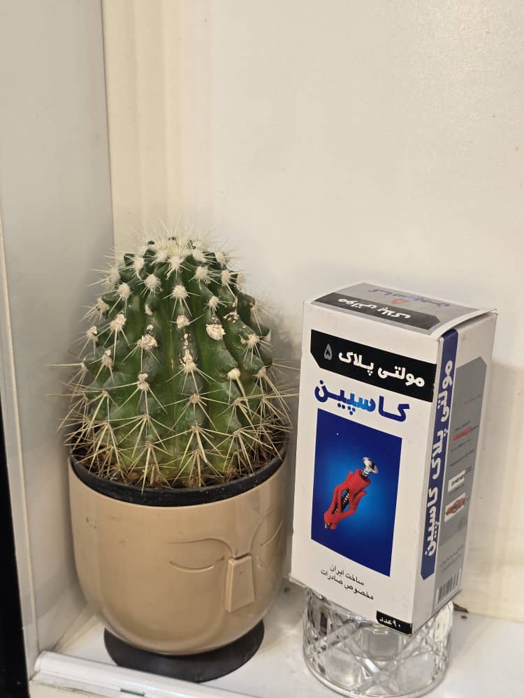 رول پلاک کاسپین مدل مولتی ۵